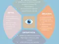 Okulista, optometrysta, optyk: Kto dobierze okulary? Rozwiewam wątpliwości!