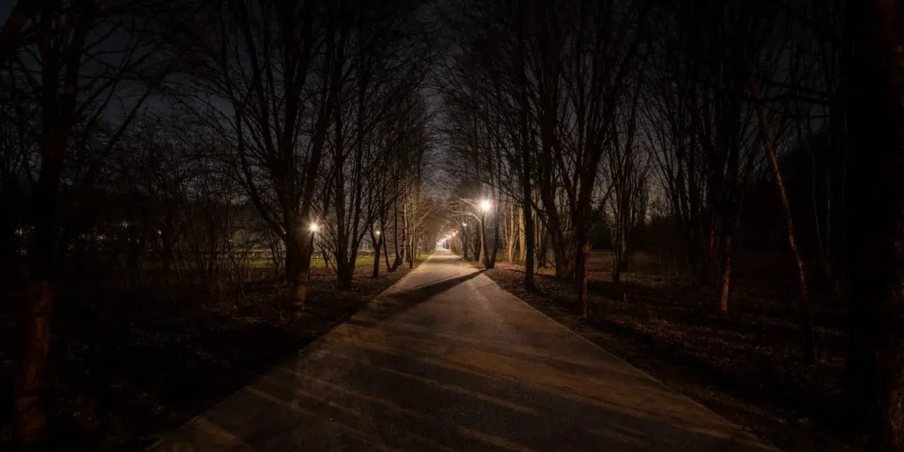 Aleja drzew nocą, oświetlona latarniami. Ciemność i cienie przypominają, jak widzi kurza ślepota.