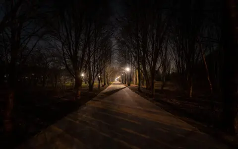 Aleja drzew nocą, oświetlona latarniami. Ciemność i cienie przypominają, jak widzi kurza ślepota.