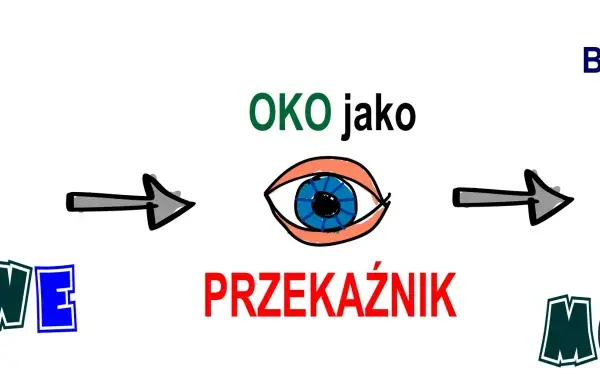 Fiksacja wzroku: bodźce wzrokowe przez oko jako przekaźnik trafiają do mózgu, który widzi.