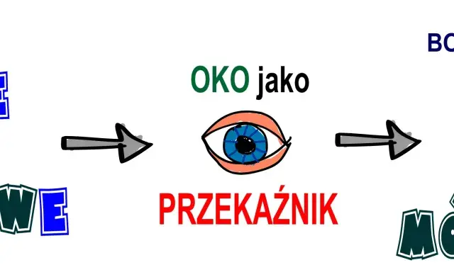 Fiksacja wzroku: bodźce wzrokowe przez oko jako przekaźnik trafiają do mózgu, który widzi.