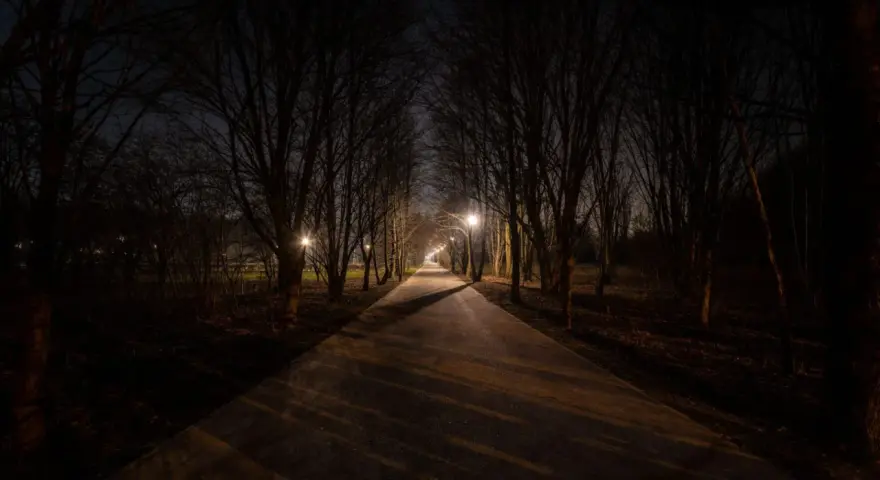 Aleja drzew nocą, oświetlona latarniami. Ciemność i cienie przypominają, jak widzi kurza ślepota.