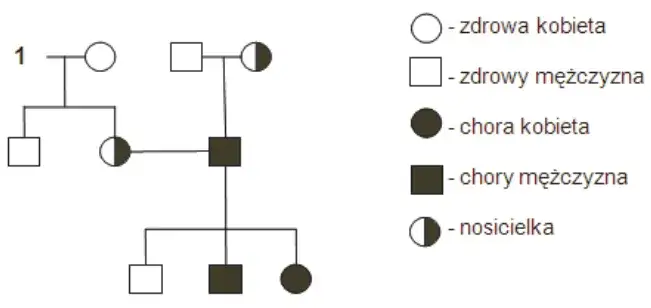 daltonizm genetyka dziedziczenie chromosom X
