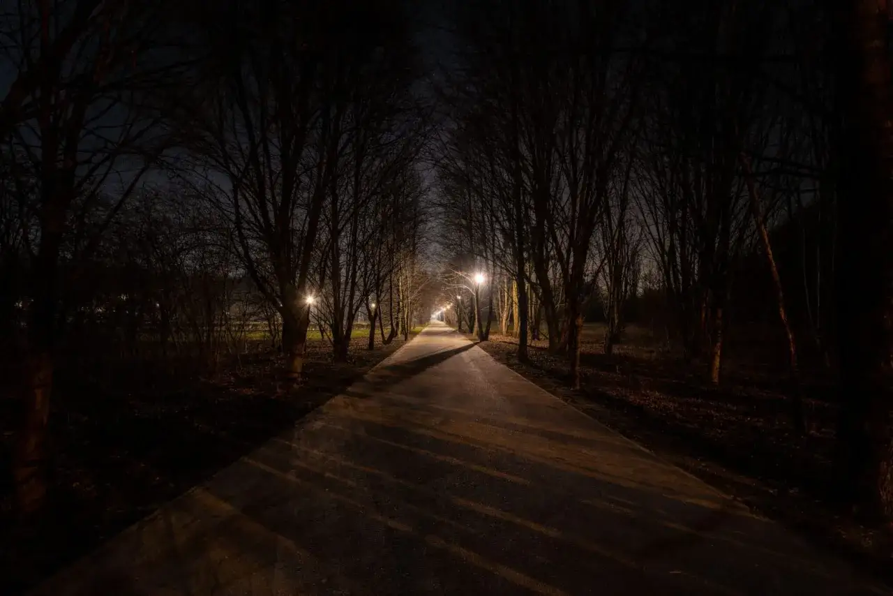 Aleja drzew nocą, oświetlona latarniami. Cienie drzew na ścieżce przypominają, jak widzi kurza ślepota.